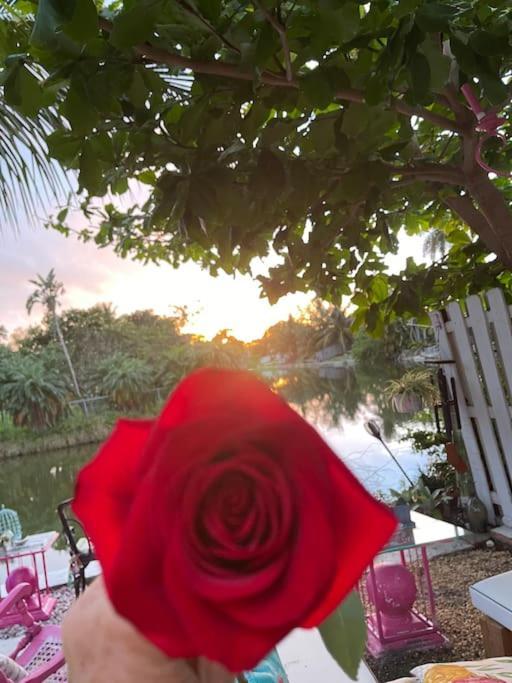 Kasa Karma On Water King Pool Paradise,Best Beaches,Restaurants, Gulfstream,Hard Rock Casino Hallandale Beach Ngoại thất bức ảnh
