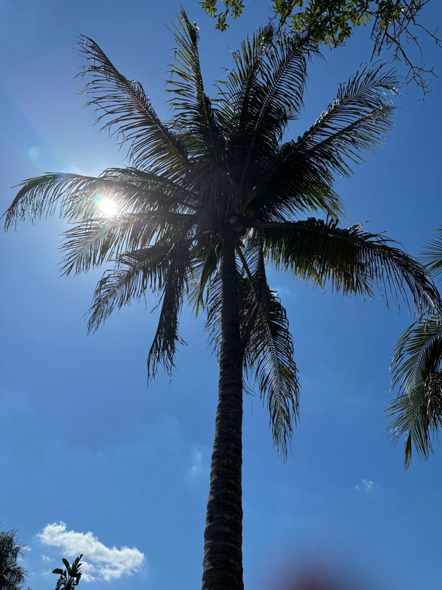 Kasa Karma On Water King Pool Paradise,Best Beaches,Restaurants, Gulfstream,Hard Rock Casino Hallandale Beach Ngoại thất bức ảnh